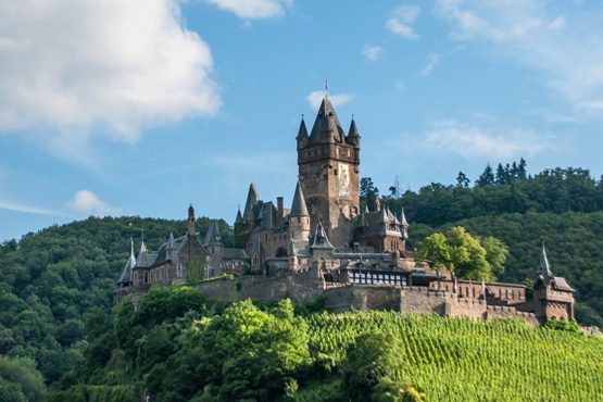 cropped-header-burgen-1.jpg