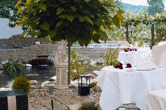 cropped-steingarten-5.jpg